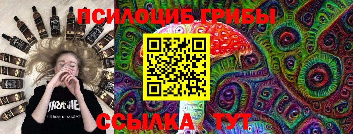 Галлюциногенные грибы Cubensis  Вход с VPN  Тавда 